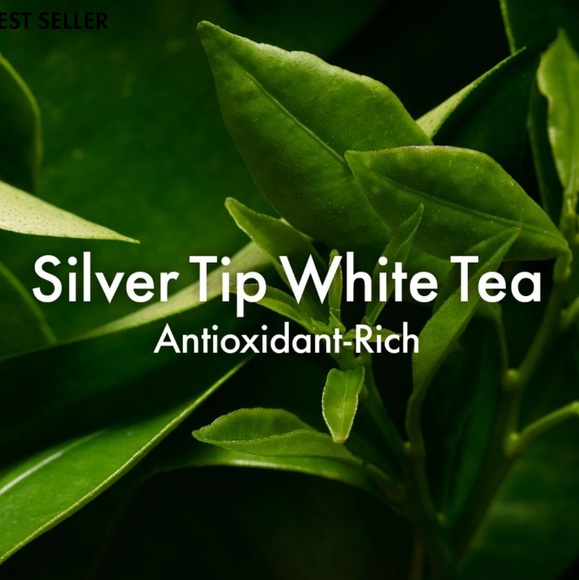 πβΌοΈA Perfect World π - Picture 4 of 5